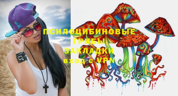 бошки Алексеевка