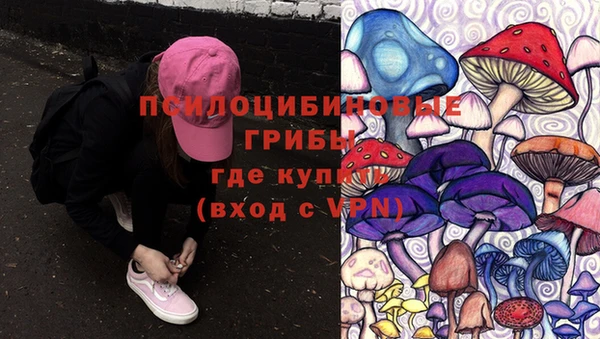 не бодяженный Алексин