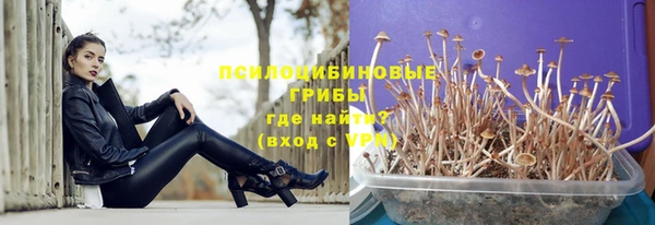 бошки Алексеевка
